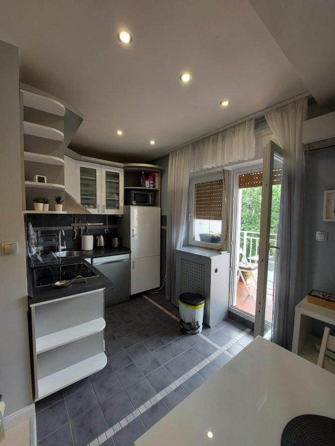 Center Danube Street Apartment Novi Sad Bagian luar foto